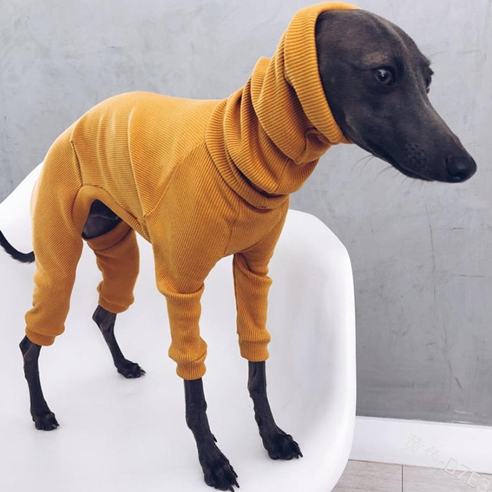 Luxury Italian Greyhound Turtleneck Sweater