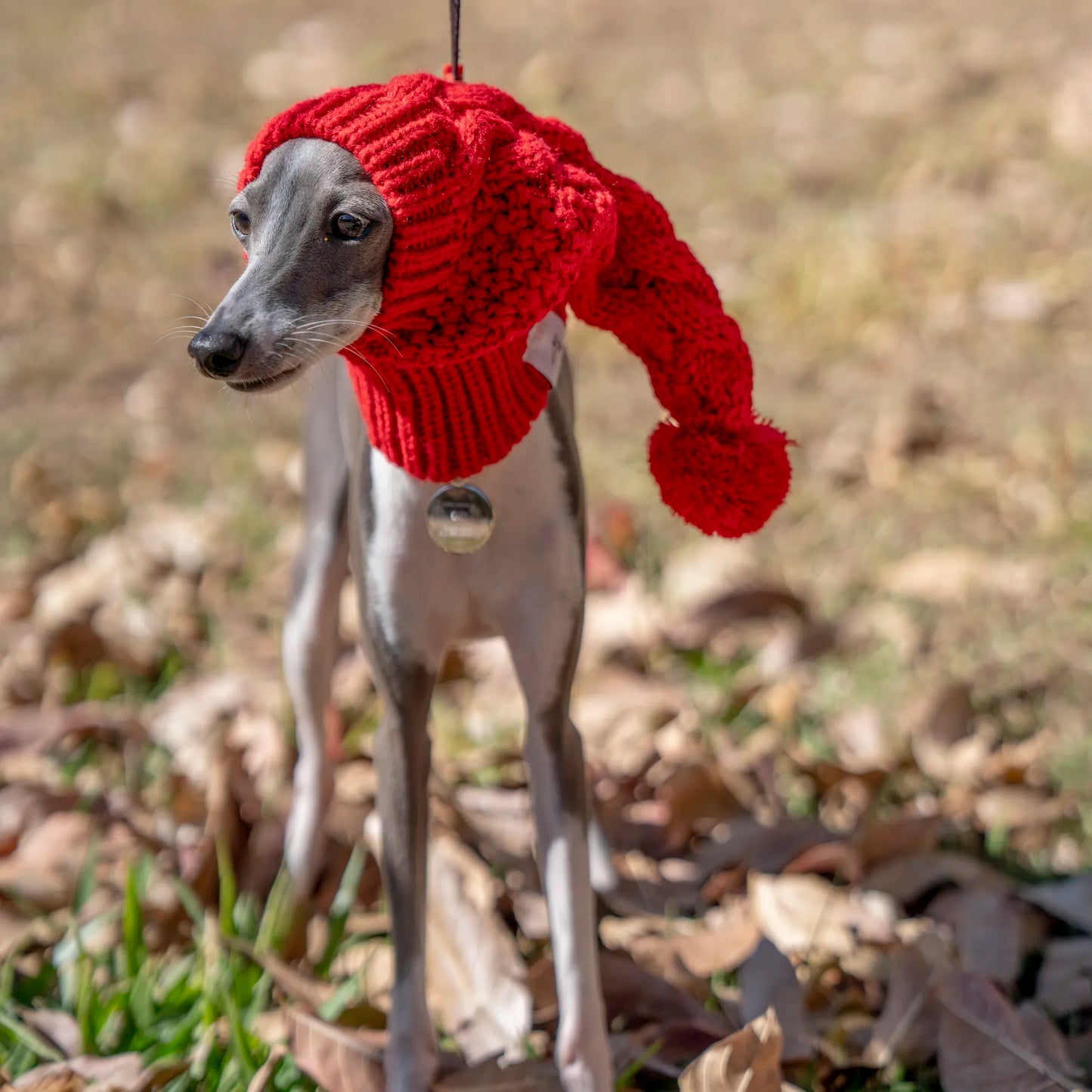 Winter Woollen Bobble Hat