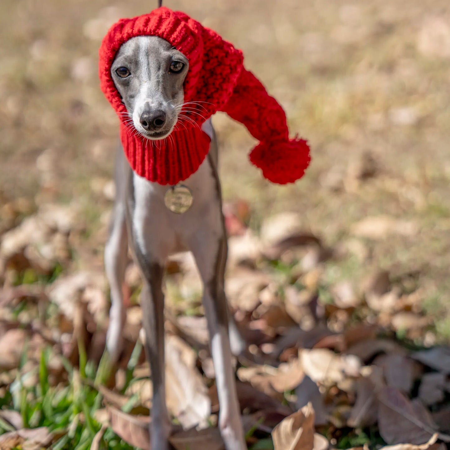 Winter Woollen Bobble Hat