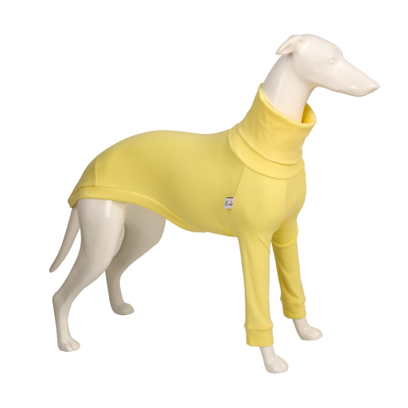 Cotton Italian Greyhound Dog Sweater