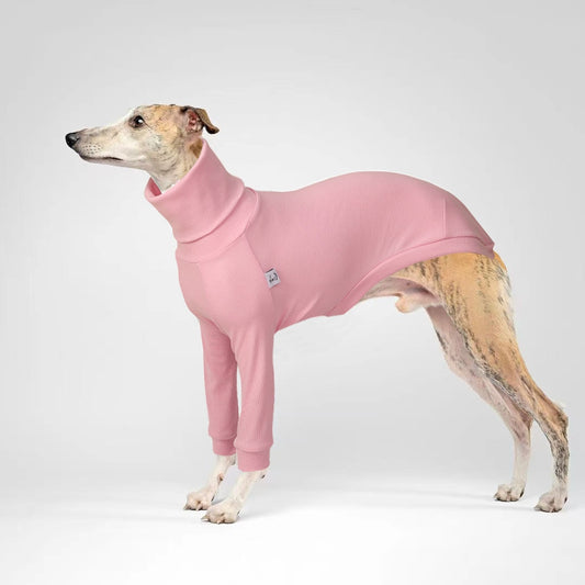 Cotton Italian Greyhound Dog Sweater