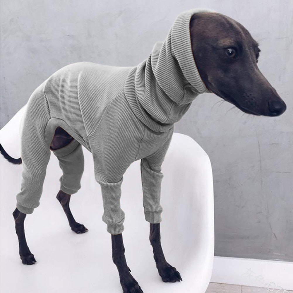 Luxury Italian Greyhound Turtleneck Sweater