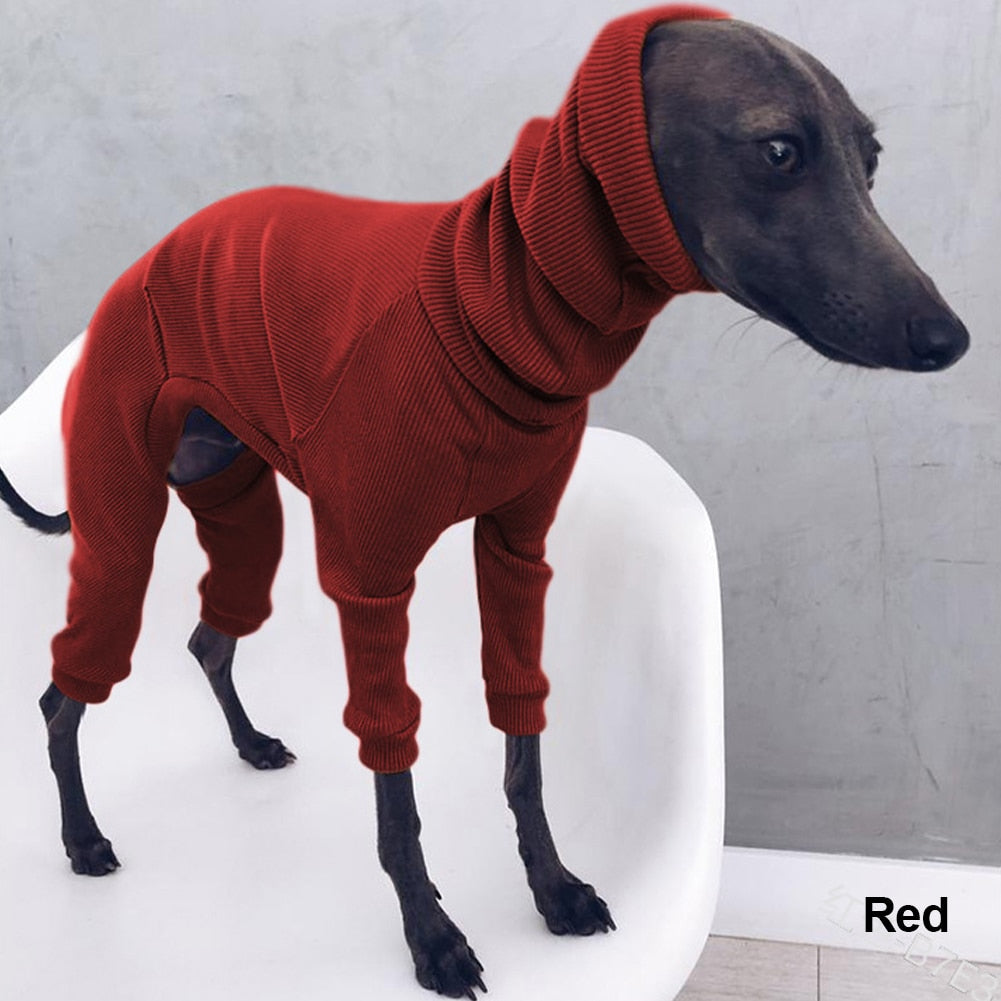 Luxury Italian Greyhound Turtleneck Sweater